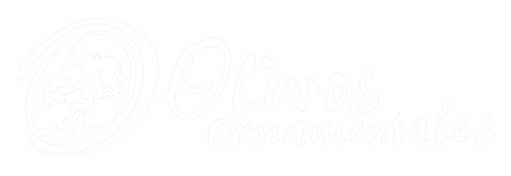 olivos ornamentales